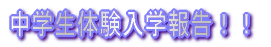 w̌w 