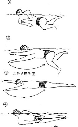 泳法図解