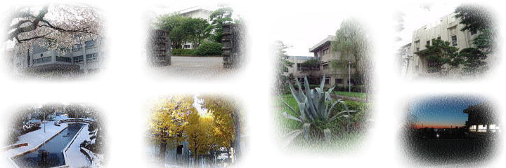 wZ̎lG