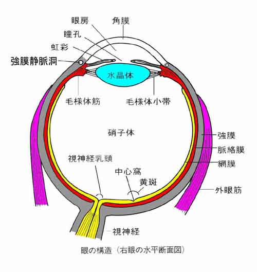 視覚障害 １