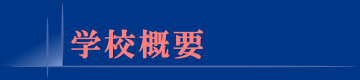 wZTv