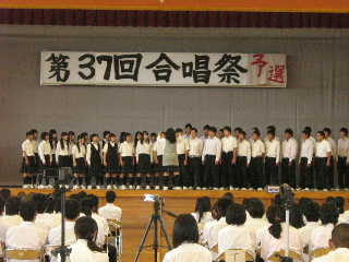 ՗\IP