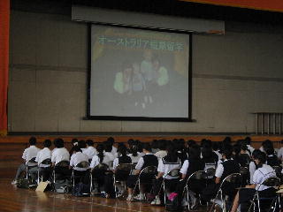 wZQ