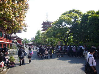 2学年浅草寺