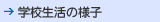 wZ̗lq