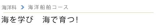 CmȁiCmDR[Xj@uCwс@CňIv