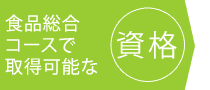 HiR[XŎ擾\Ȏi