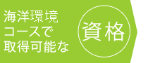 CmȊwR[XŎ擾\Ȏi