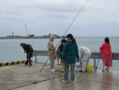 修学旅行6