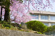 春の学校