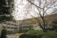 秋の学校
