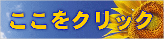 NbN 