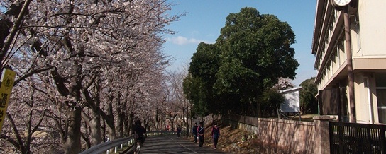 正門から中門にいたる坂道