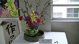 http://www.chiba-c.ed.jp/ichikawahigashi-h/club/kado/image.jpg