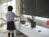 http://www.chiba-c.ed.jp/ichikawahigashi-h/club/kado/kado01.jpg