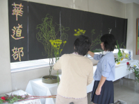 http://www.chiba-c.ed.jp/ichikawahigashi-h/club/kado/kado02.jpg