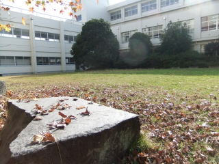 DSCF18901.jpg