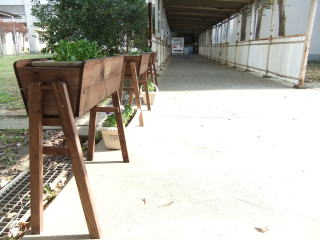 DSCF19071.jpg