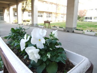DSCF19101.jpg