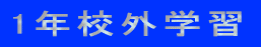 1NZOwK