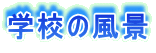 wZ̕i