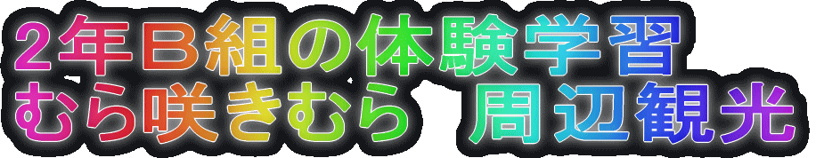 2Nag̑̌wK ނ炫ނ@ӊό