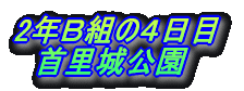 2NaĝS @񗢏