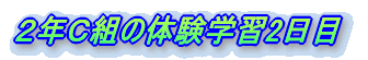QNbg̏CwsL