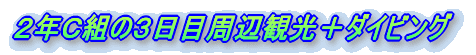 QNbg̏CwsL