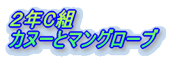 QNbg̏CwsL