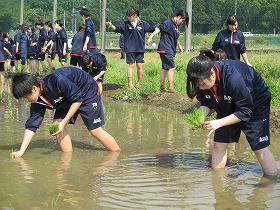 IMG_0363.jpg