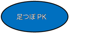 ȉ~: PK