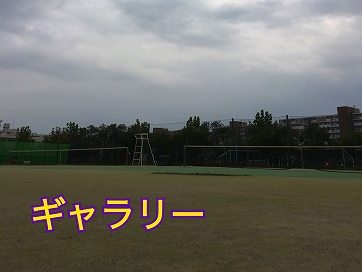 ̎ʐ^邱Ƃo܂