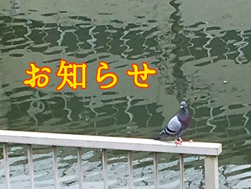 Ǘl̂m点ȂǂȂǂĂƂł