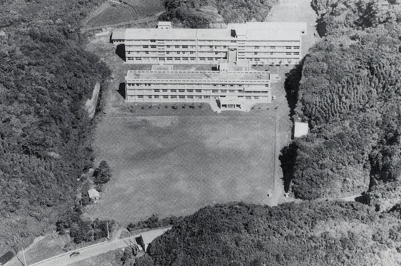 YwZ1966