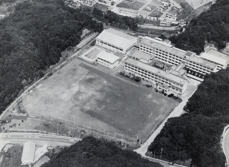 YwZ1982