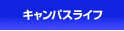 LpXCt