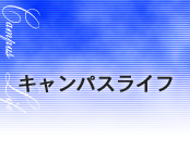 LpXCt