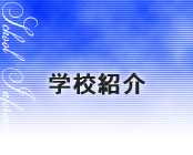 wZЉ