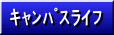 LpXCt