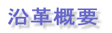 vTv 
