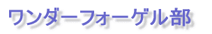 vTv 