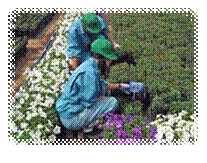 image002.png