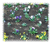 image008.png
