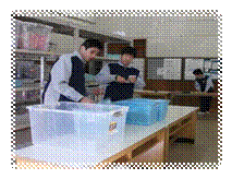 DSCF2453.JPG