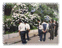 DSCF2227.JPG