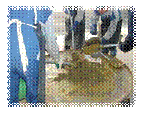 DSCF2485.JPG