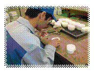image008.png