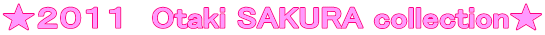 ★2011 Otaki SAKURA collection★