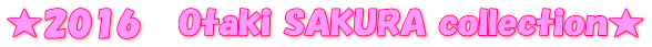 2016@Otaki SAKURA collection